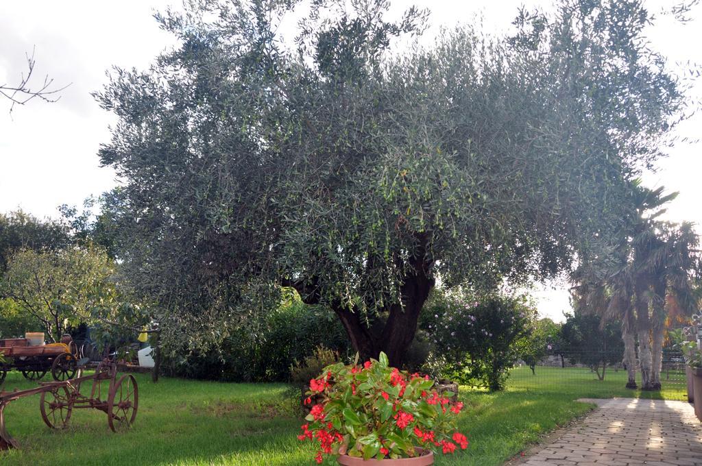 Franko Apartmani Zambratija  Exteriér fotografie